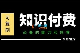 君哥《IP合伙人知识付费虚拟项目》