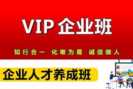 众筹：速卖通VIP企业人才养成班