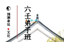 众筹：2022林烽六壬终身弟子班