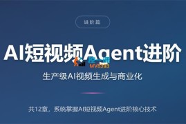 某大佬《AI短视频Agent进阶》