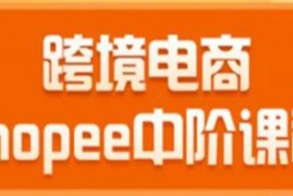 跨境电商蓝海新机会-shopee高阶终极课程