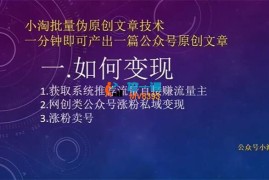 小淘《批量伪原创文章技术》
