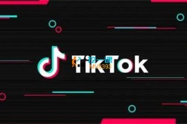 福粒商学院《海外TikTok影视课程全套》