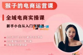 猴子电商《小红书电商运营课》