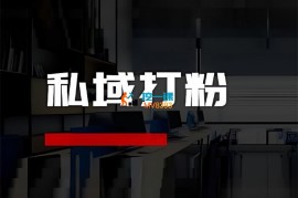 阿甘私域《私域打粉获客》