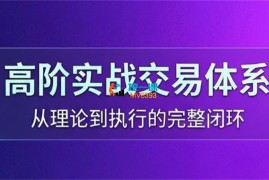 高架师《股票高阶实战交易体系》