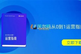 Lion《沃尔玛从零到一运营指南》