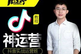 抖音赚钱周大神实战运营：0到300万实操