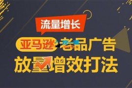 马德雷《亚马逊流量增长老品广告放量增效打法》