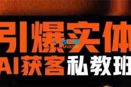 董十一《引爆实体AI模板引流私教班》