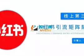 钟小玲《小红书引流矩阵陪跑线上第三期》