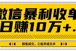 天朝学子会员：老实人网赚指南