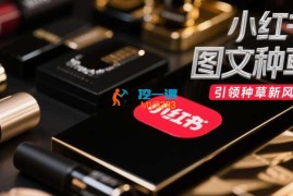 露西《小红书图文种草变现》