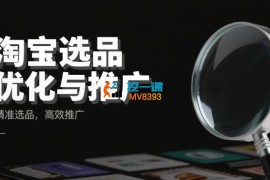 涂涂《淘宝选品优化与推广》