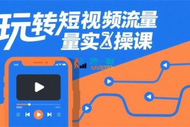 婷婷《玩转短视频流量实操课》