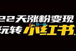 艾老板《小红书涨粉变现训练营》