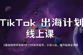 老吴《TikTok跨境电商新手起号与运营全攻略》