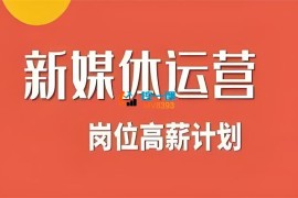 展公子《新媒体运营高薪升核培养计划》