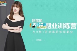 阿宝姐《严选副业训练营》