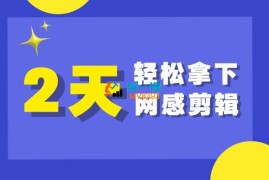 乙方《2天拿下网感剪辑》