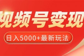 董冬《视频号变现项目》