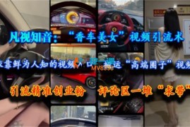 凡视知音《香车美女视频引流术》