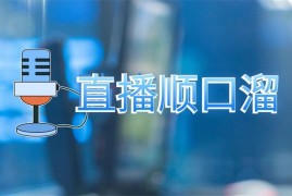 晨晨《直播间口才顺口溜教学》