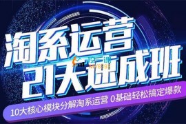 白凤电商《淘系运营21天速成班》