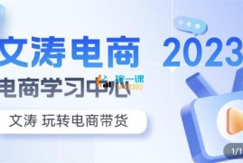 文涛《7天零基础自然流起号》