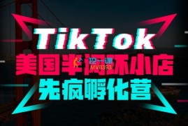 李社长《TikTok美国半闭环小店先疯孵化营》