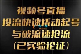 杨平《视频号直播投流起号与破流速第八期》
