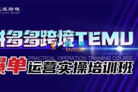 正派跨境《拼多多跨境TEMU爆单运营实操培训班》