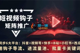 火炎《短视频钩子矩阵推广4.0》