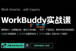 某大佬《workbuddy实战课》