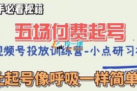 小点《视频号直播付费五场0粉起号线上视频课》