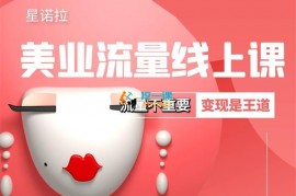 星诺拉《美业短视频流量线上课》