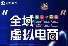 潮金公社《全域虚拟电商4.0》