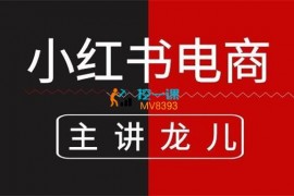 龙儿《小红书电商课》