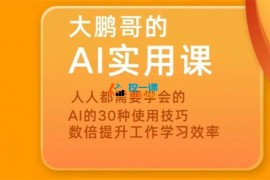 大鹏哥《AI实用课》