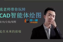 流老师《带你玩转CAD智能体绘图》
