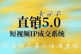 大元子《直销5.0短视频IP成交系统》