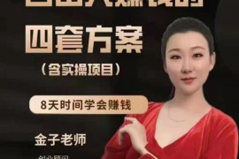 众筹：金子·自由人赚钱的四套方案