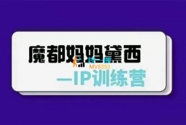 黛西《IP训练营》