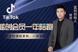 蓝创跨境《Tiktok美区本土全流程系统课》