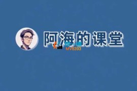 阿海《AI商业实战系统课》