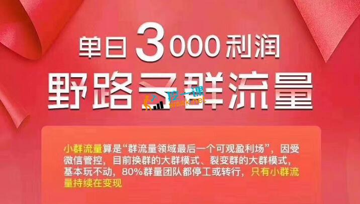 单日3000利润 野路子群流量