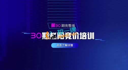 赵阳sem竞价30期培训课程