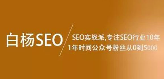 白杨SEO第三期精准引流实战培训