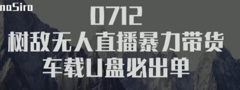 抖音无人直播暴力带货车载U盘必出单，单号单日产出300纯利润 