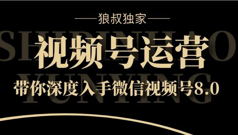 狼叔《视频号运营实战课8.0》